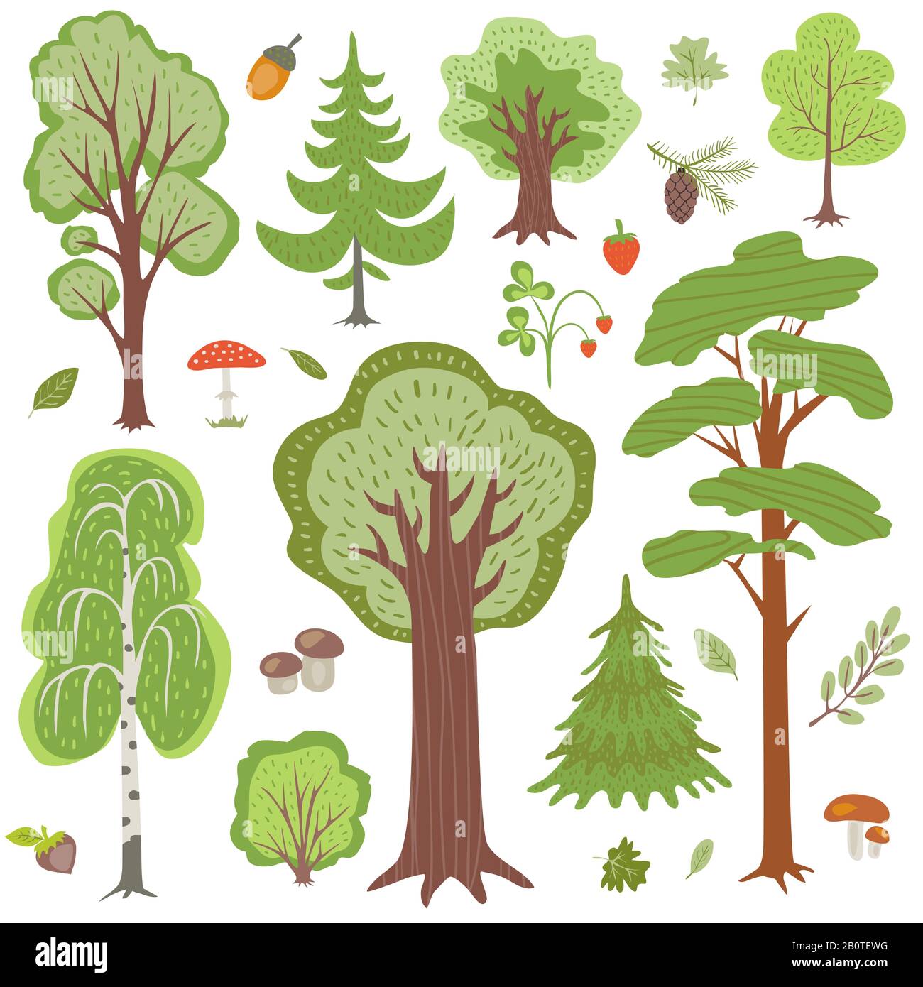 Arbres forestiers, plantes et champignons, autres éléments vectoriels floraux boisés. Arbre floral, illustration des champignons et des arbres en bois Illustration de Vecteur