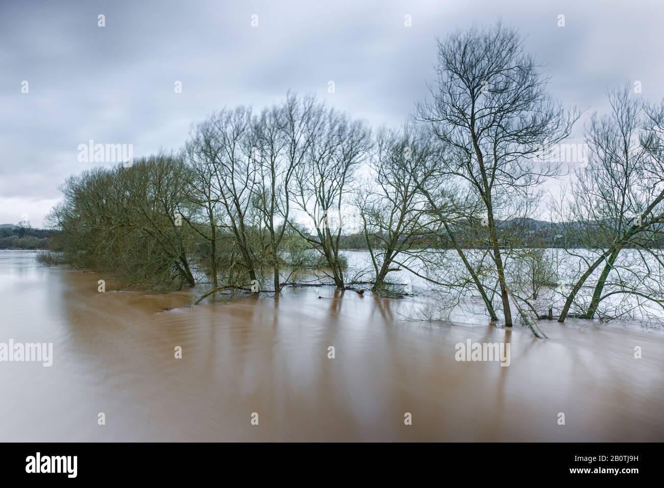 La rivière Wye inondée à Monmouth, Pays de Galles du Sud, février 2020. Banque D'Images