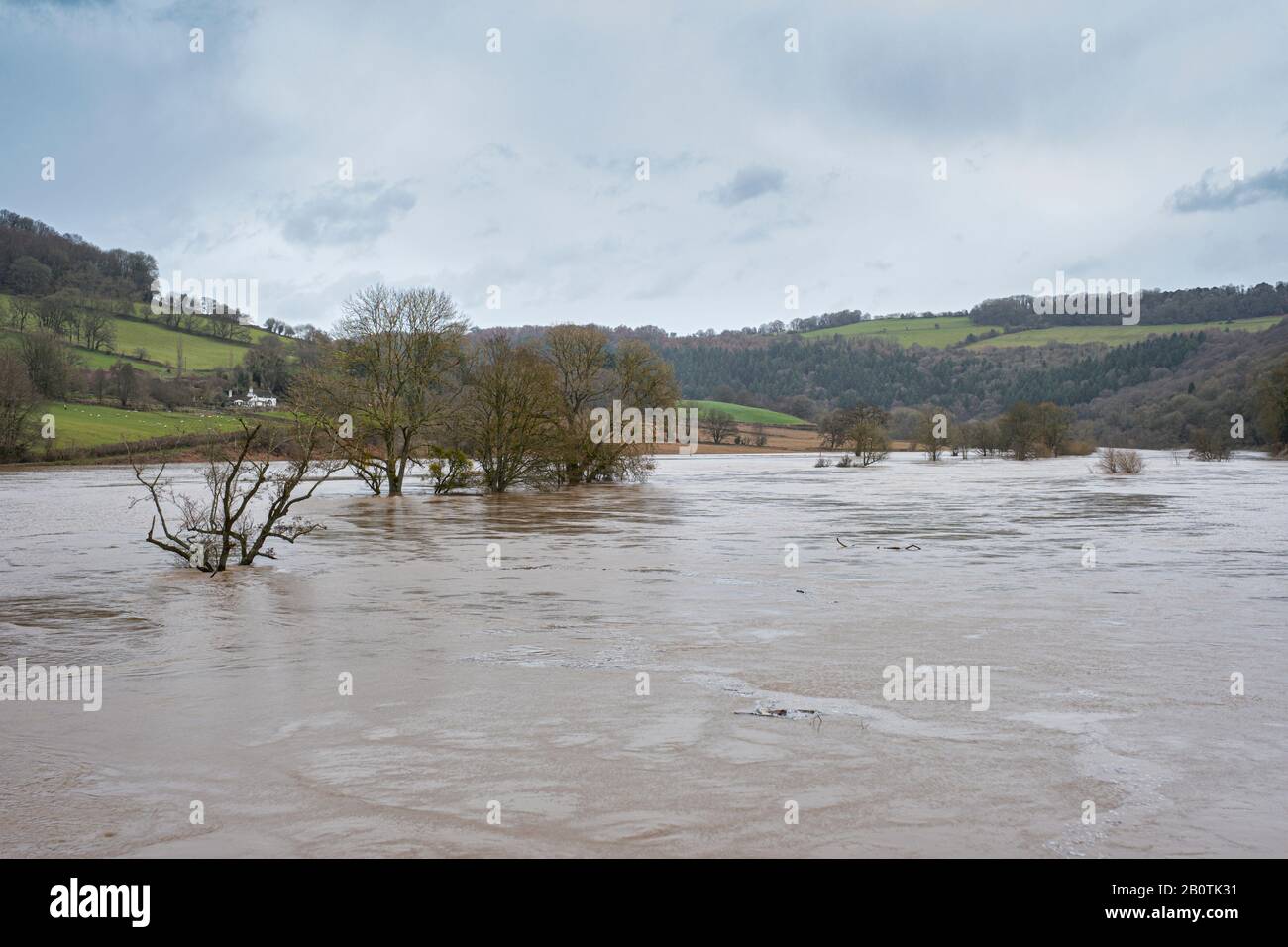 La rivière Wye en forme de spate à Bigsweir, à la frontière du Monbucshire - Gloucestershire. Février 2020. Banque D'Images