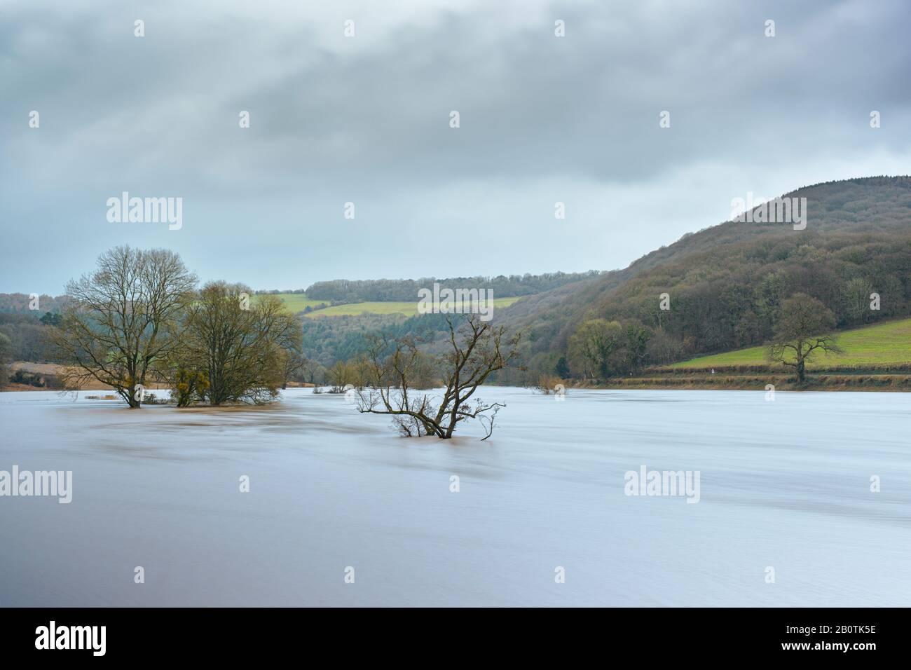 La rivière Wye en forme de spate à Bigsweir, à la frontière du Monbucshire - Gloucestershire. Février 2020. Banque D'Images