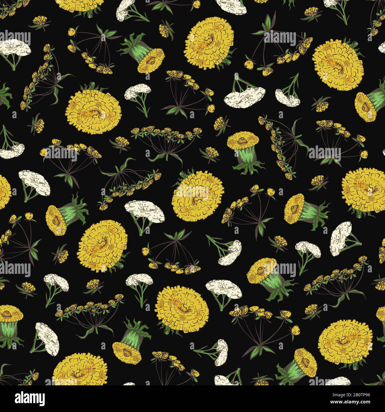 Motif fleuri sans couture avec fleurs printanières - texture sans couture de mode avec fleurs jaunes et blanches. Arrière-plan avec illustration de la mode des fleurs d'été Illustration de Vecteur