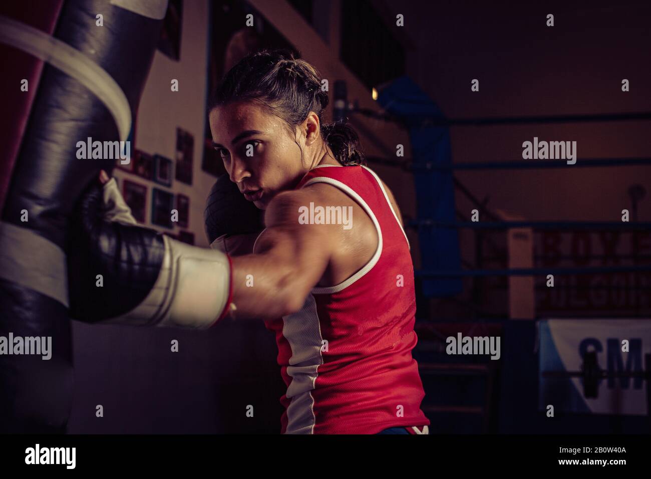 Boxer féminin 2025