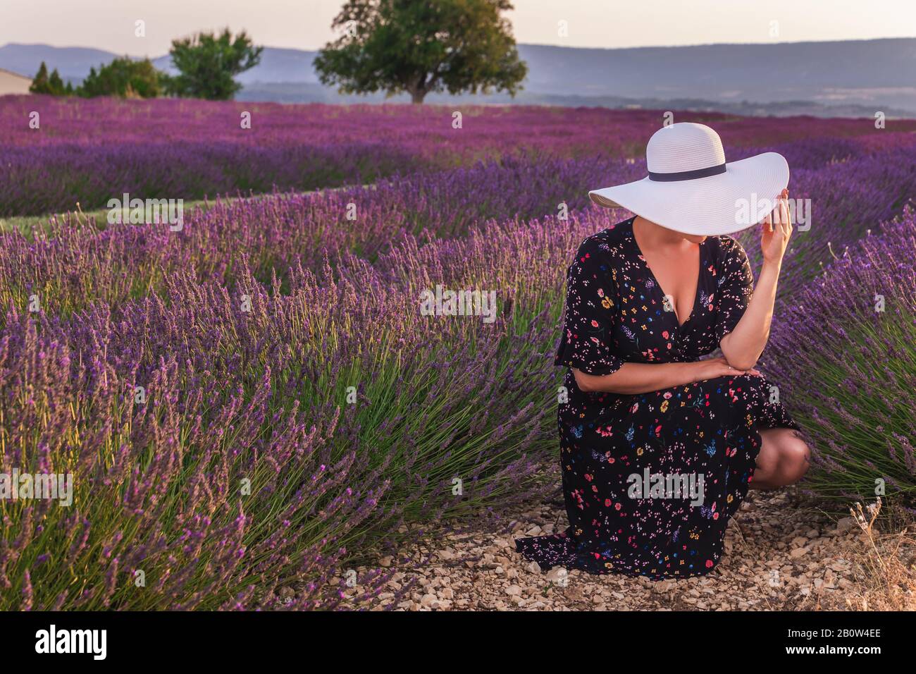 Fille dans une robe avec fleurs et grand chapeau blanc dans les champs de lavande en Provence, Valensole, France. Paysage pittoresque de la nature d'été et agracult Banque D'Images