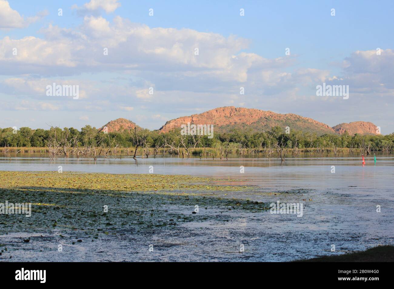 Terres Humides De Kununurra Australie Occidentale Banque D'Images