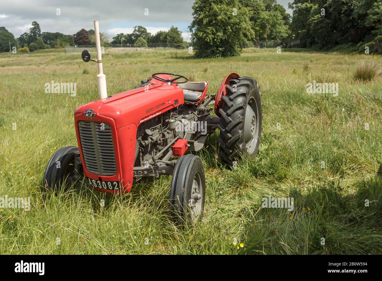 Le tracteur Massey Ferguson 35 a été restauré dans un champ d'herbe à ensilage Banque D'Images