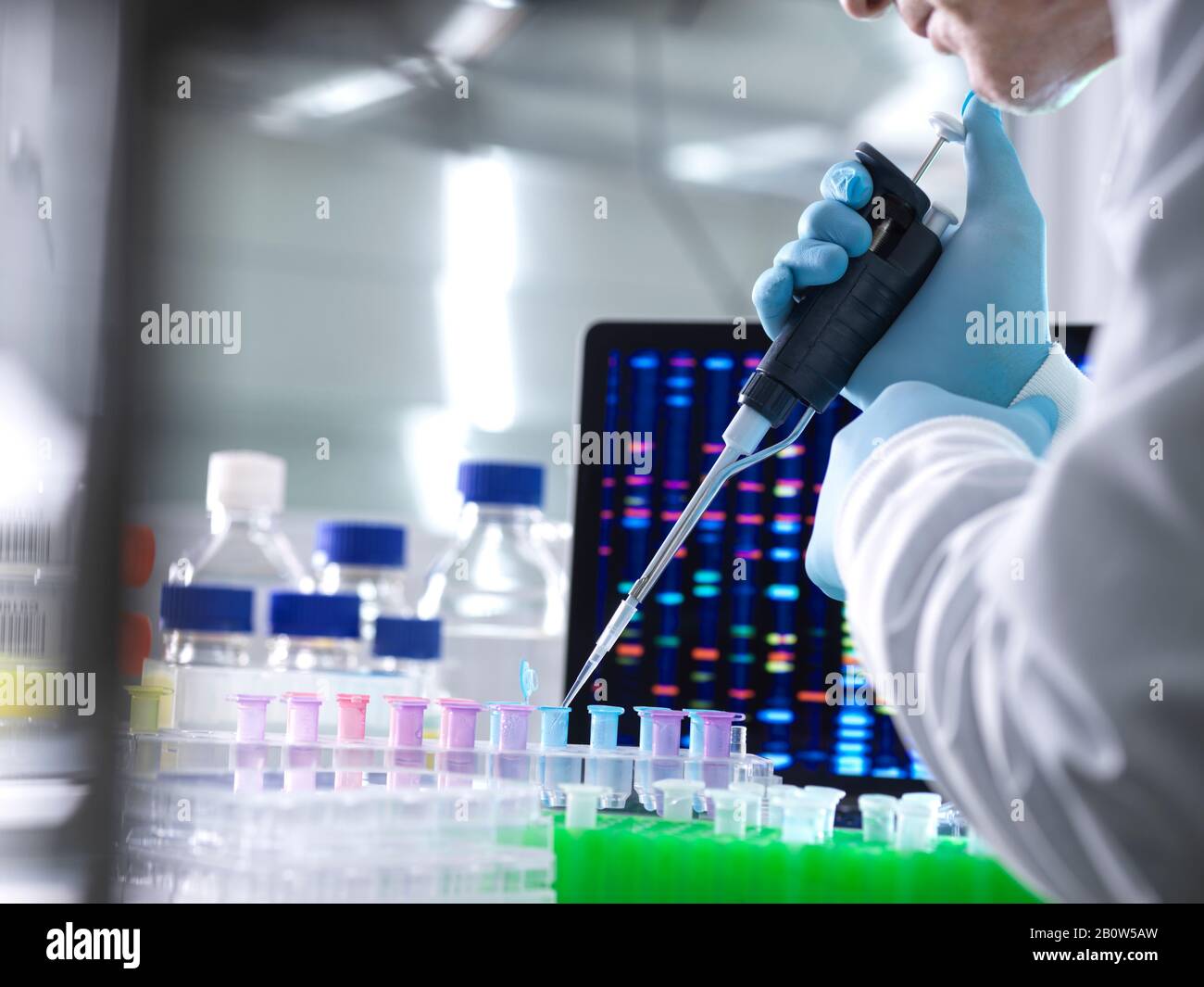 Un scientifique pipetant des échantillons d'ADN dans des tubes à microcentrifugeuse lors d'une expérience en laboratoire avec le profil d'ADN sur l'écran du moniteur. Banque D'Images