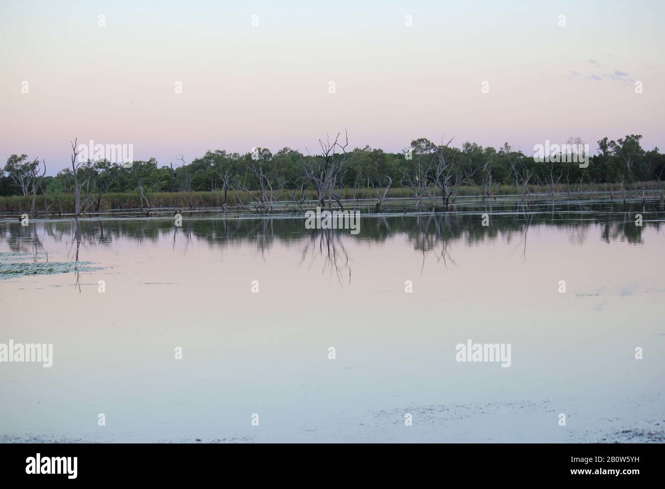 Terres Humides De Kununurra Australie Occidentale Banque D'Images