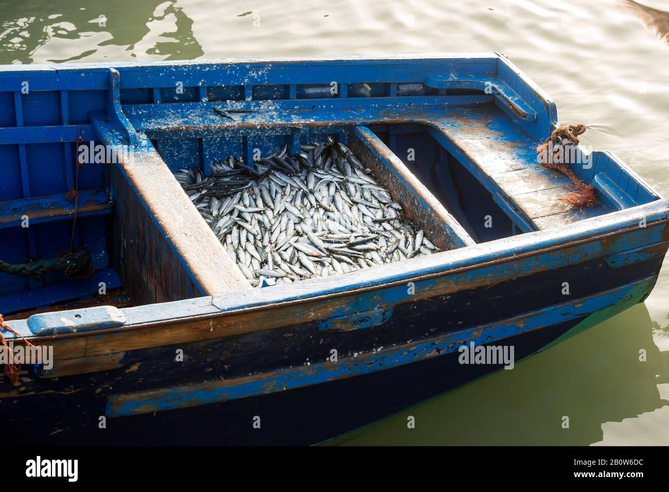 Bateaux bleus, port, Essaouira, Maroc Banque D'Images