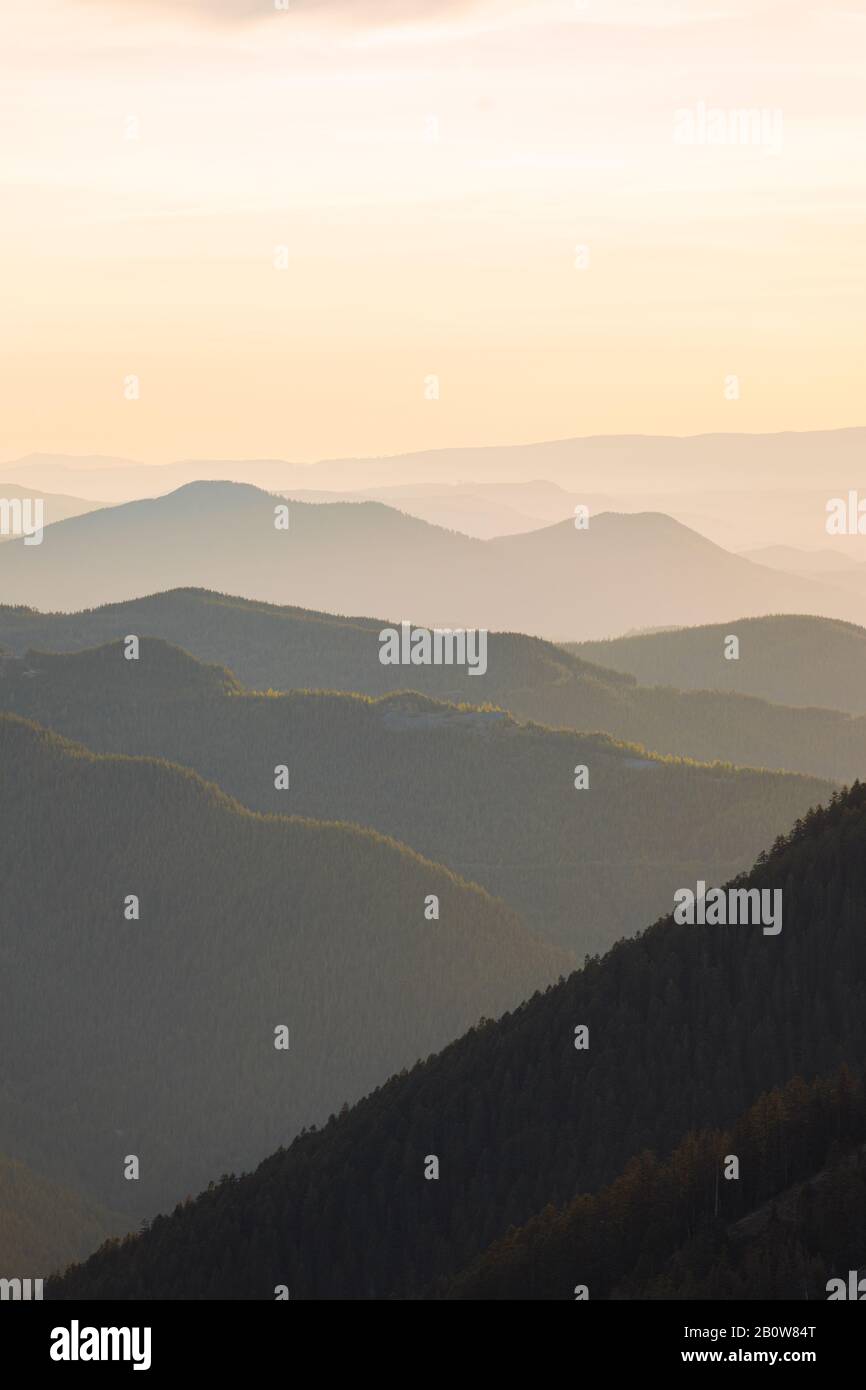 Coucher De Soleil Sur Le Parc National Du Mont Rainier Banque D'Images