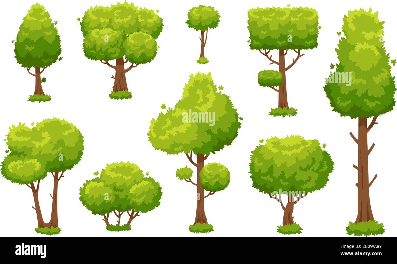 Arbre vert de dessin animé. Forêt environnementale ou arbres de parc isolés pour l'arrière-plan de l'illustration vectorielle Illustration de Vecteur