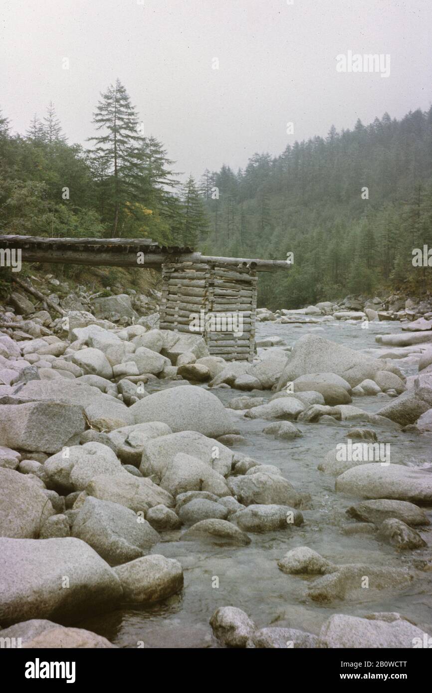 Ruines abandonnées du pont en bois au-dessus de la rivière Sakukan moyenne dans les montagnes de Kodar dans la région de Transbaikal en Sibérie, en Russie. Le pont a été construit par les prisonniers politiques du régime soviétique à la fin des années 1940 en tant que partie sur les communications de transport au camp de Mramorny du système de camps de travail forcé de Gulag situé à environ 2 150 mètres d'altitude au-dessus du niveau de la mer. Le camp a été créé en janvier 1949 pour desservir la mine d'uranium voisine. Les prisonniers politiques du régime soviétique étaient habitués à travailler ici dans des conditions extrêmement difficiles. Le camp a été fermé en octobre 1951 Banque D'Images