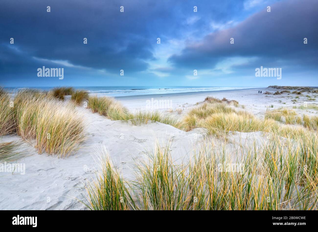 Vue sur la mer du nord depuis les dunes de sable Banque D'Images
