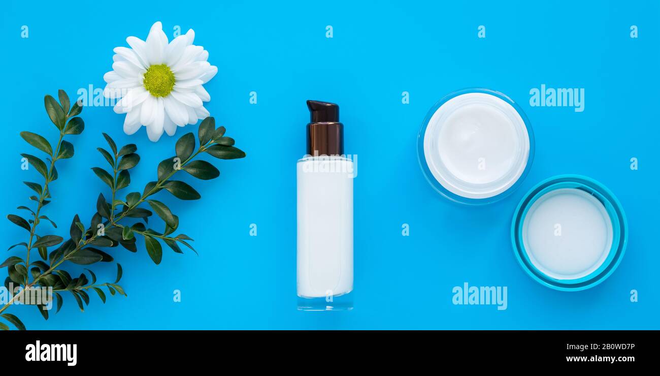Ensemble de bouteilles cosmétiques, crème pour le visage et lotion sur un fond bleu avec une branche verte et une Marguerite. Bol en verre et vaporiser de la camomille blanche, peau Ca Banque D'Images