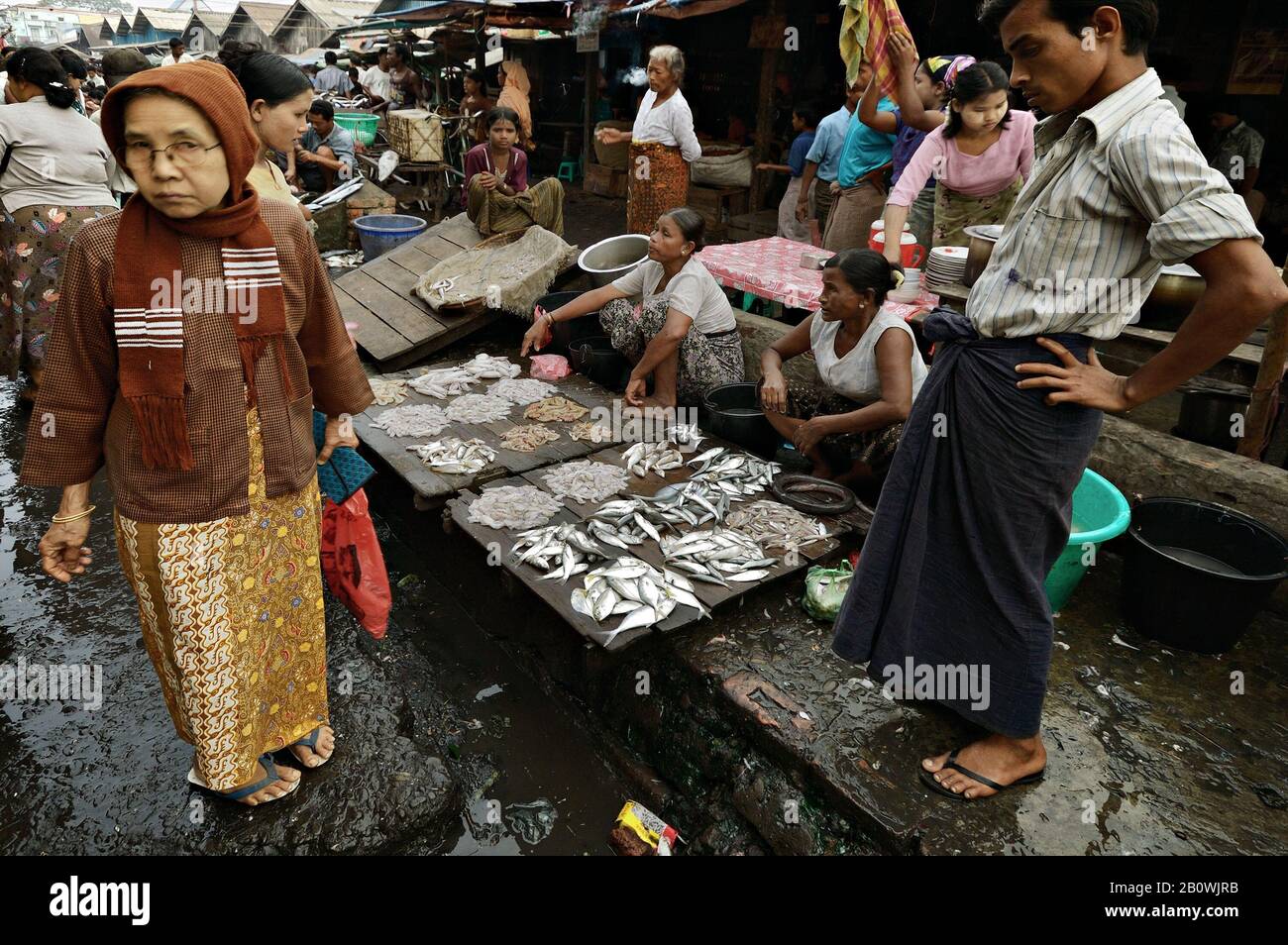 Décrochage de poissons sur le marché de poissons de Sittwe, État de Rakhine, Myanmar Banque D'Images