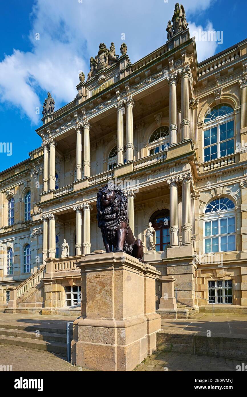 Musée Ducal À Gotha, Thuringe, Allemagne, Europe Banque D'Images