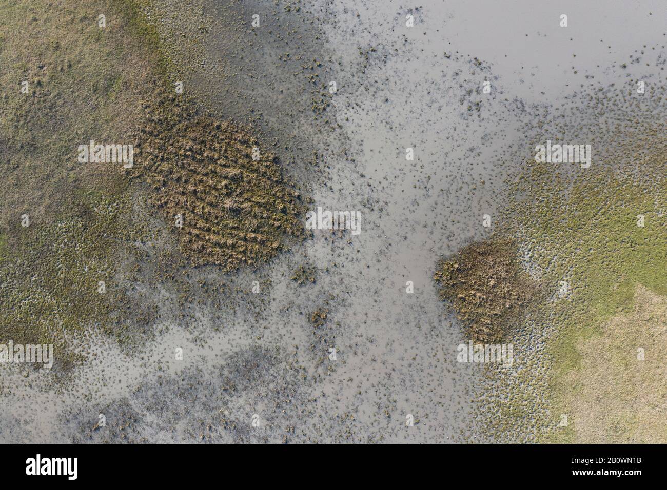 salin, méditerranée, midi, europe, outils agricoles, sel, nature, pêche, riz, lagon, calme, été, horizon, palenque, bleu, fermier, eau, texture, Banque D'Images