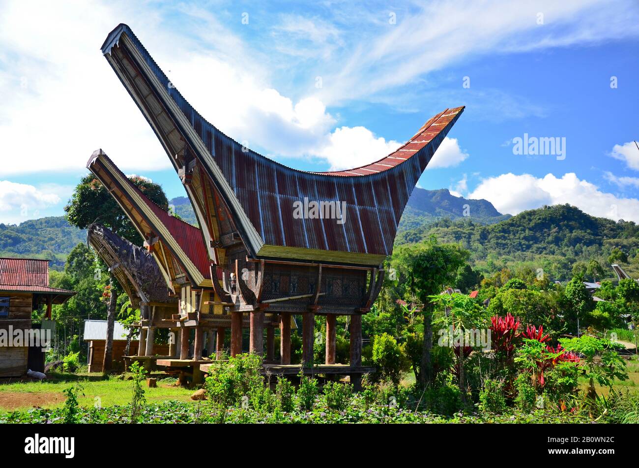 Village avec maisons traditionnelles Tongkonan, stockage de riz Alang, Rantepao, hautes terres Toraja, Tana Toraja, Sulawesi, Indonésie, Asie du Sud-est Banque D'Images