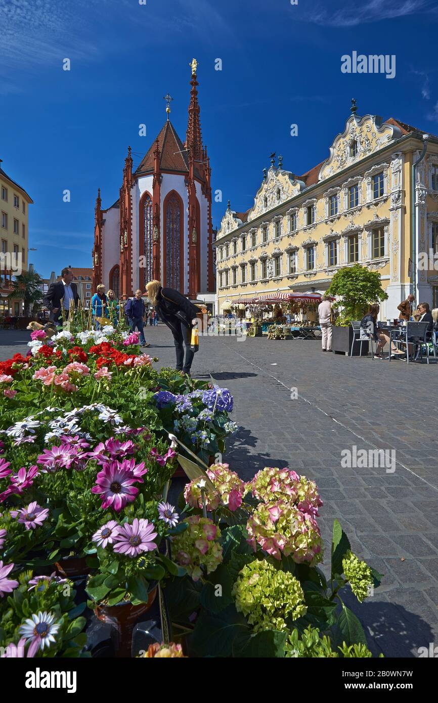 Marché Supérieur Avec Marienkapelle Et Falkenhaus, Wuerzburg, Basse-Franconie, Bavière, Allemagne, Europe Banque D'Images