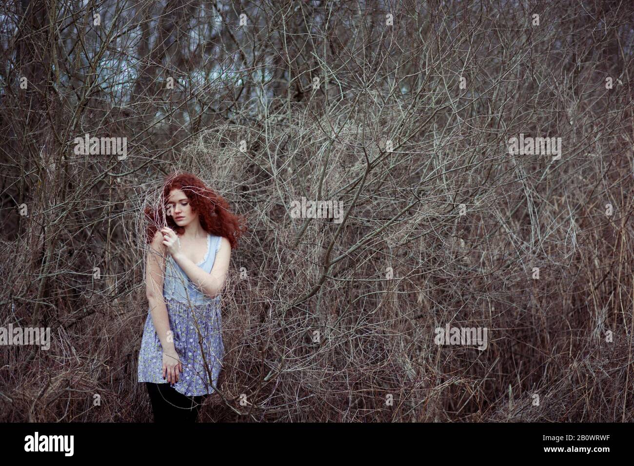 Femme aux longs cheveux rouges entre les branches, portrait Banque D'Images