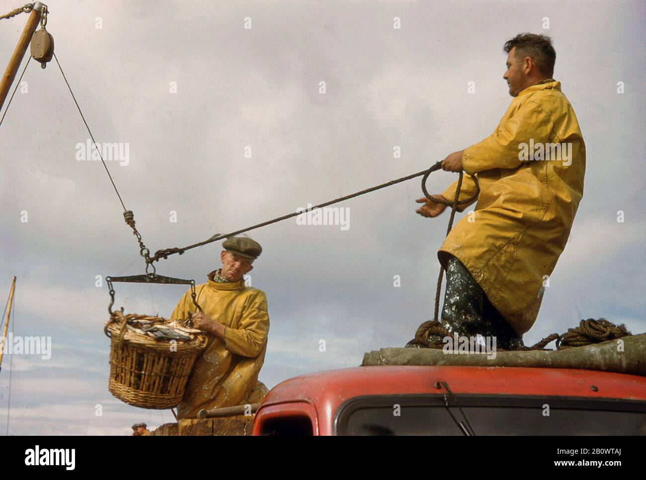 Dans les années 60, deux pêcheurs portant des vestes de pluie imperméables ou des capes jaunes sur un camion à une jetée à l'aide d'une poulie pour décharger un panier de poisson en osier, le hareng de l'Atlantique, l'Écosse, au Royaume-Uni. Banque D'Images