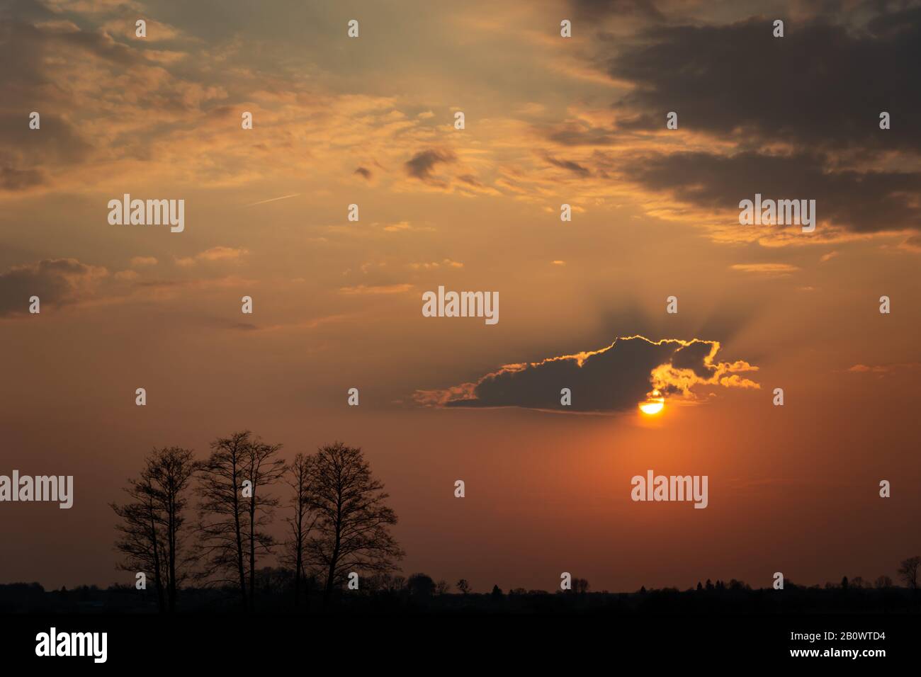 Soleil avec un nuage dans le ciel brumeux et des arbres sans feuilles à l'horizon Banque D'Images