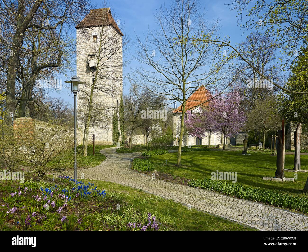 Arboretum avec tour nord du mur de la ville et église Trinity à Bad Langensalza, Thuringe, Allemagne, Europe Banque D'Images