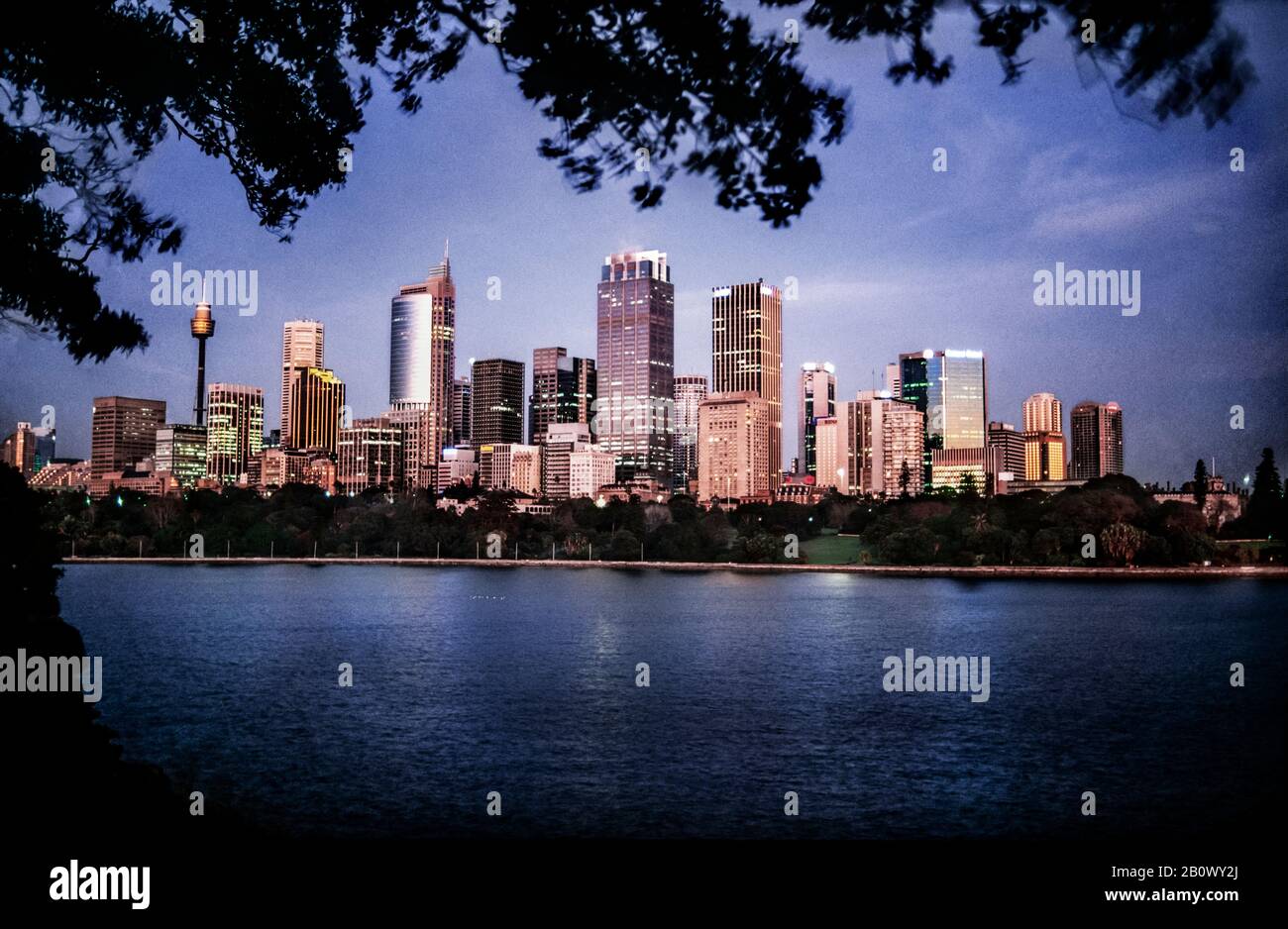 Ville de Sydney en face du port au crépuscule, Australie Banque D'Images
