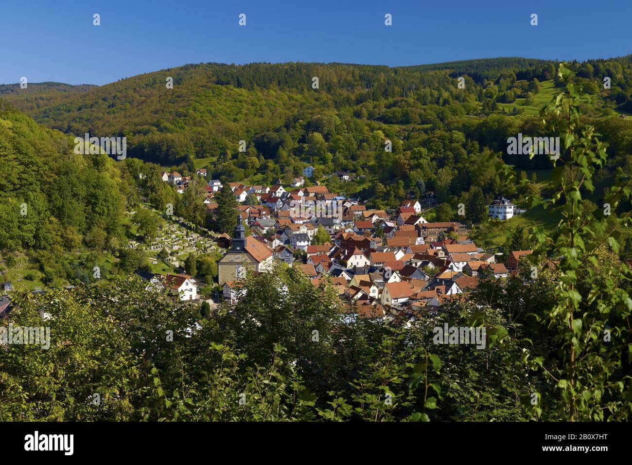 Steinbach Bei Bad Liebenstein, Wartburgkreis, Forêt Thuringeoise, Thuringe, Allemagne, Banque D'Images