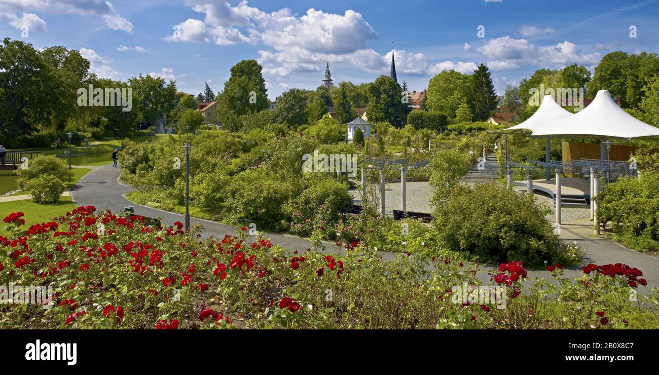 Le mauvais jardin Banque de photographies et d’images à haute