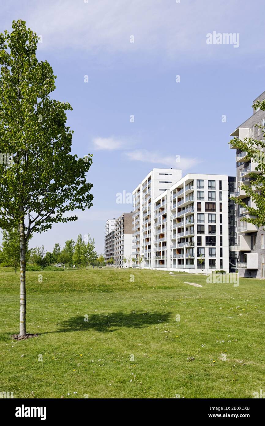 Architecture Moderne, Logement, Örestad, Île Amager, Copenhague, Danemark, Banque D'Images