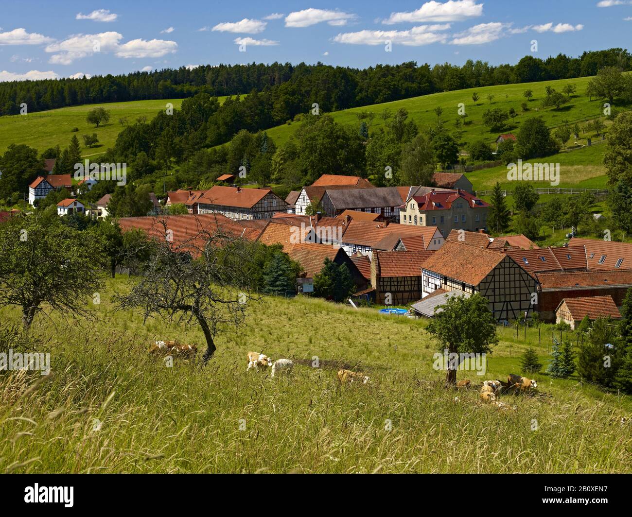 Vue sur Hellborn, villages de la vallée, Thuringe, Allemagne, Banque D'Images
