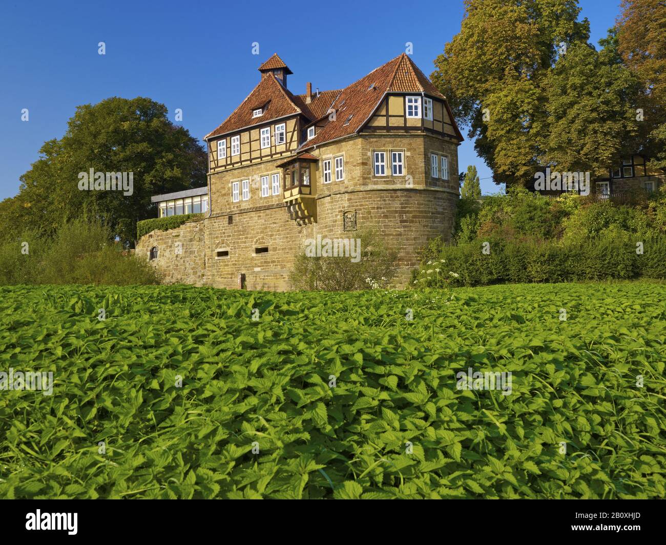 Château de Petershagen sur le Weser, Kr. Minden-Lübbecke, Rhénanie-Du-Nord-Westphalie, Allemagne, Banque D'Images