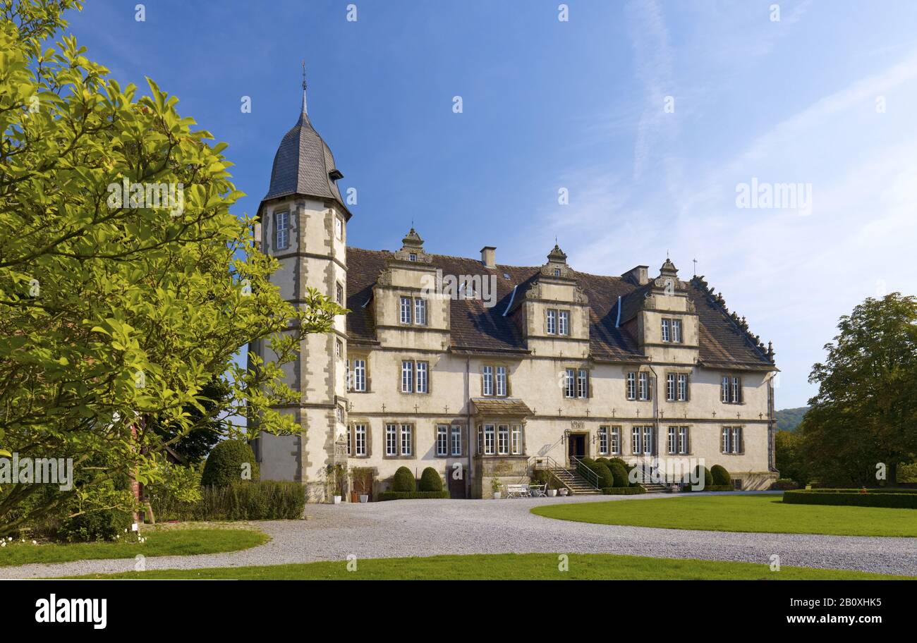 Schloss Et Gut Wendlinghausen, Landkreis Lippe, Rhénanie-Du-Nord-Westphalie, Allemagne, Banque D'Images