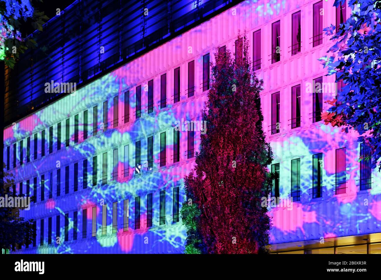 Bâtiment d'entreprise éclairé, Haus der Wirtschaft, Lichtfest City Nord, Hambourg, Allemagne, Banque D'Images