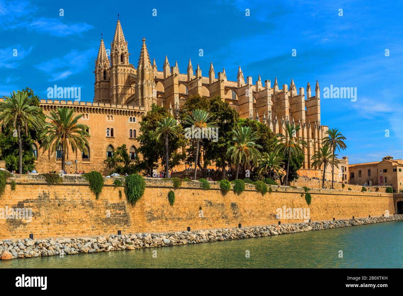 Cathédrale De Palma, Espagne, Iles Baléares, Majorque, Palma De Majorque Banque D'Images