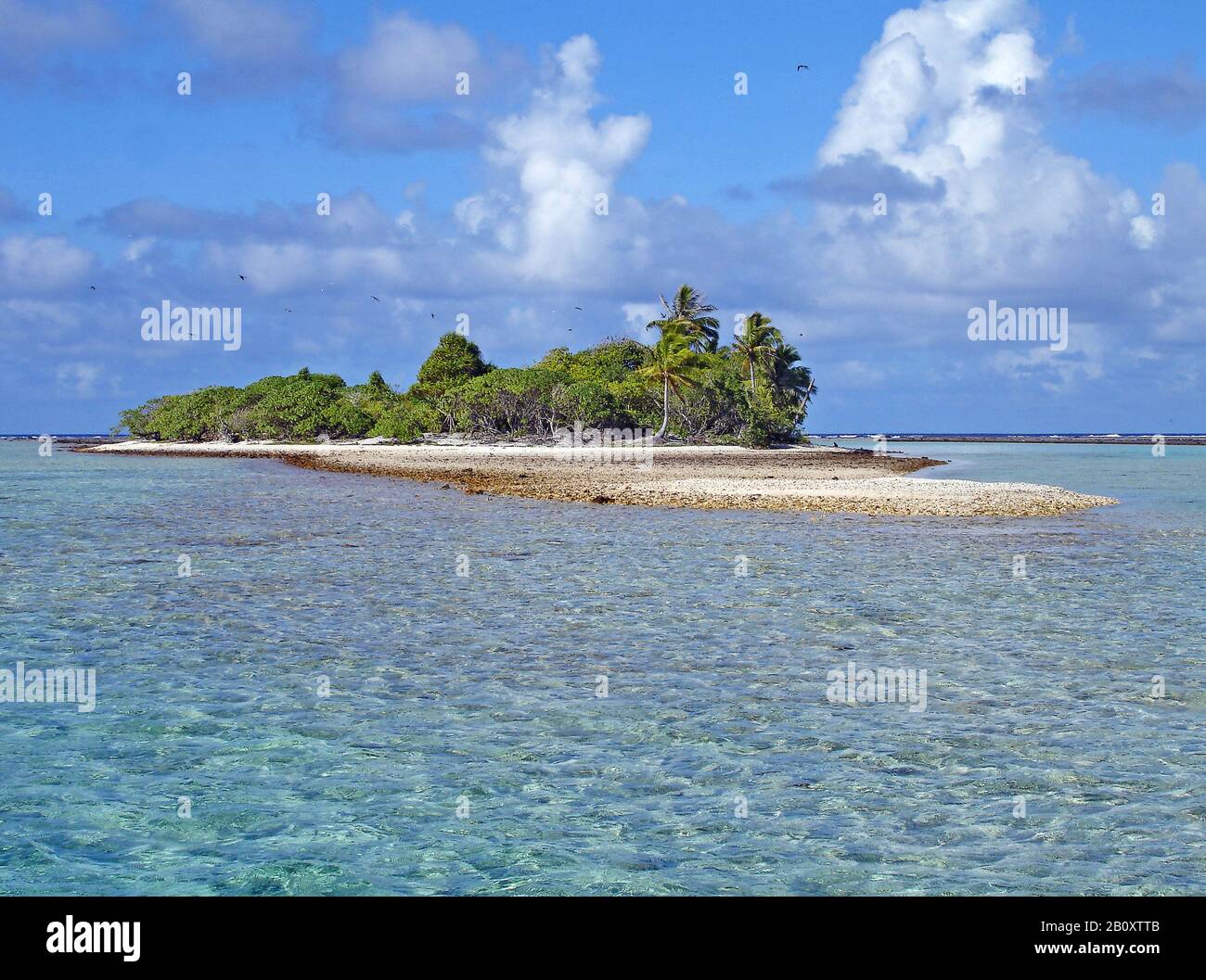 Rogiroa Atoll, Polynésie, Îles Rangiroa Tuamotu, Tuamotu Banque D'Images