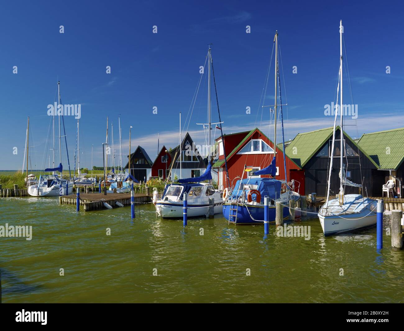 Bateaux à voile dans le port d'Althagen près d'Ahrenshoop, Fischland-Darss-Zingst, Mecklembourg-Poméranie-Occidentale, Allemagne, Banque D'Images