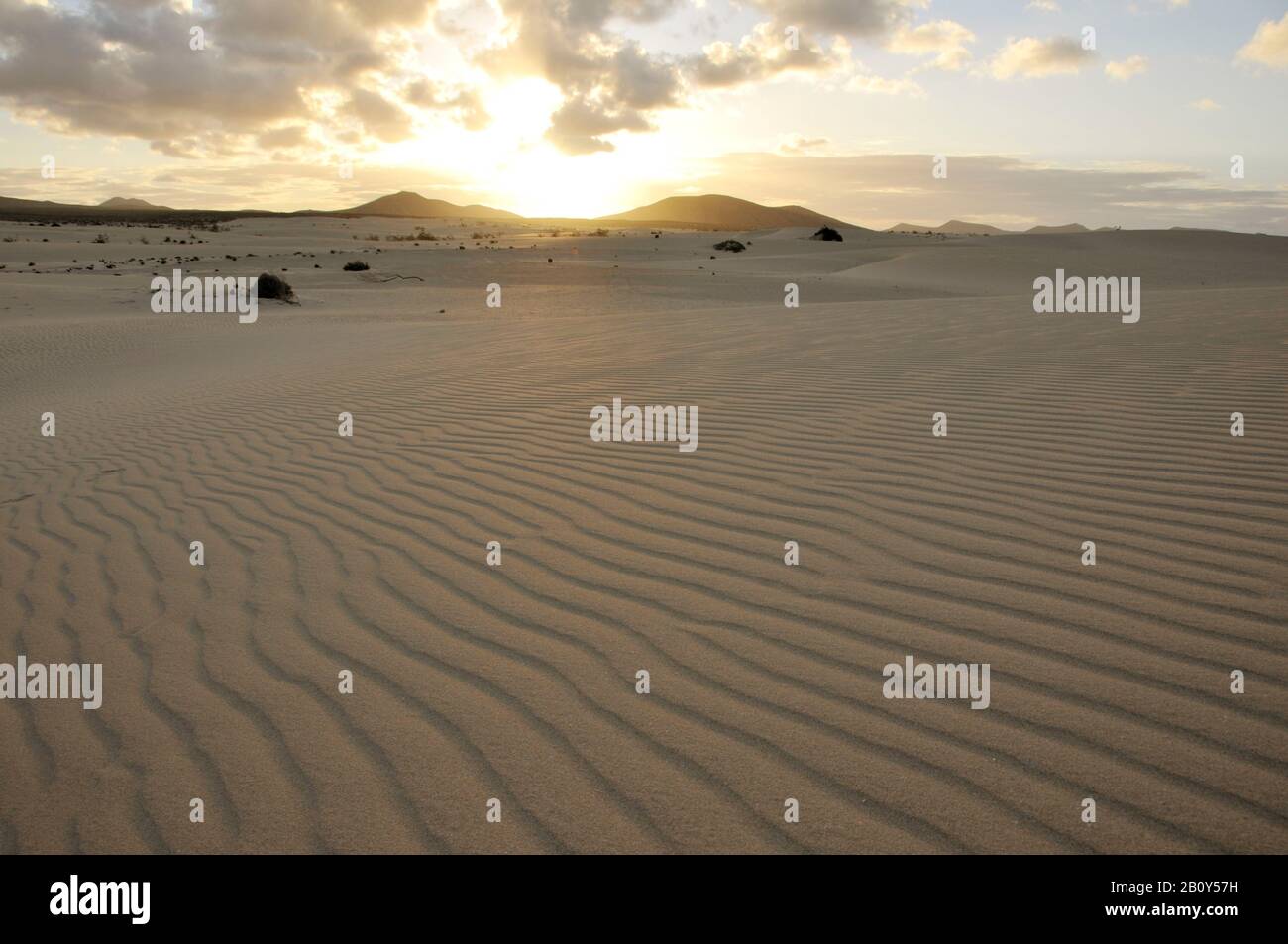 Dunes De Sable, Parc National De Corralejo, Fuerteventura, Îles Canaries, Espagne, Europe Banque D'Images