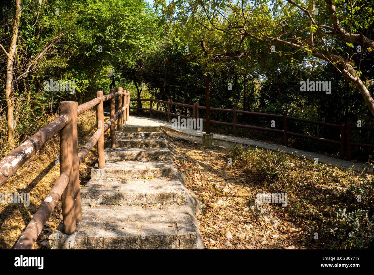 Escalier, route transversale, sentier, sentier, sentier, route de campagne, allée, voie dans la forêt de Hong Kong comme arrière-plan, sentiers de la nature Tsing Yi Banque D'Images