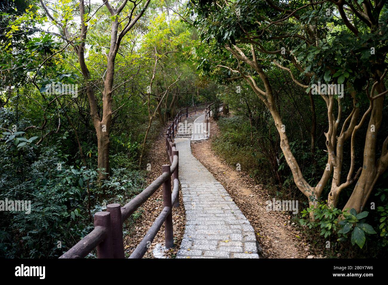 Escalier en pierre, escalier, sentier, sentier, sentier, route de campagne, allée, voie dans la forêt de Hong Kong comme arrière-plan, sentiers de la nature Tsing Yi Banque D'Images