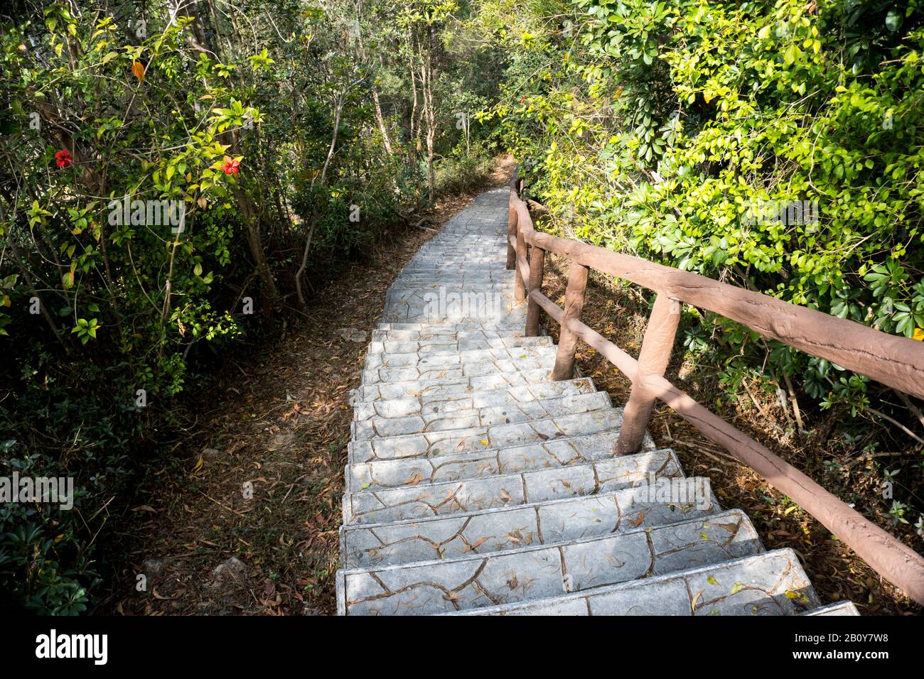 Escalier en pierre, escalier, sentier, sentier, sentier, route de campagne, allée, voie dans la forêt de Hong Kong comme arrière-plan, sentiers de la nature Tsing Yi Banque D'Images