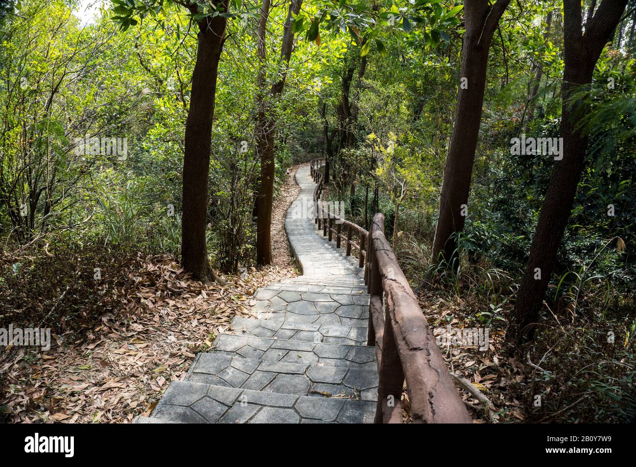 Escalier en pierre, escalier, sentier, sentier, sentier, route de campagne, allée, voie dans la forêt de Hong Kong comme arrière-plan, sentiers de la nature Tsing Yi Banque D'Images