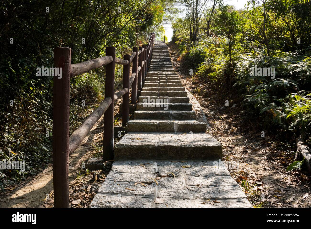 Escalier en pierre, escalier, sentier, sentier, sentier, route de campagne, allée, voie dans la forêt de Hong Kong comme arrière-plan, sentiers de la nature Tsing Yi Banque D'Images
