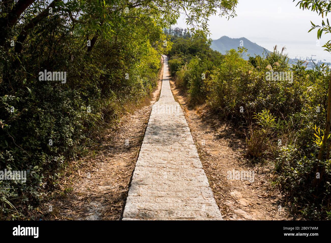 Sentier, sentier, route nationale, sentier, allée, voie dans la forêt de Hong Kong comme arrière-plan Banque D'Images