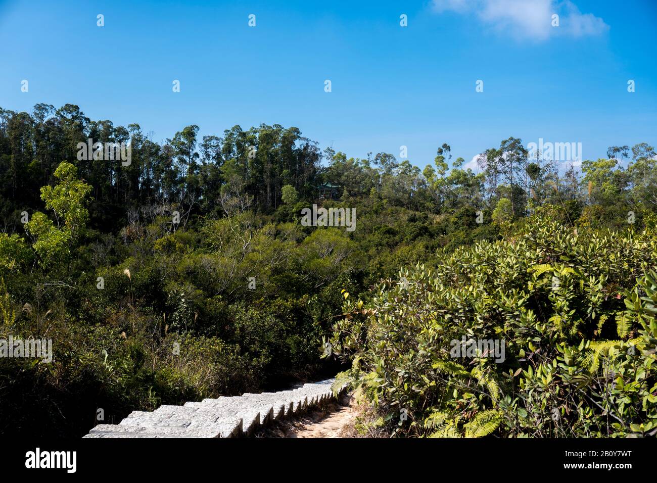 Escalier en pierre, escalier, sentier, sentier, sentier, route de campagne, allée, voie dans la forêt de Hong Kong comme arrière-plan, sentiers de la nature Tsing Yi Banque D'Images