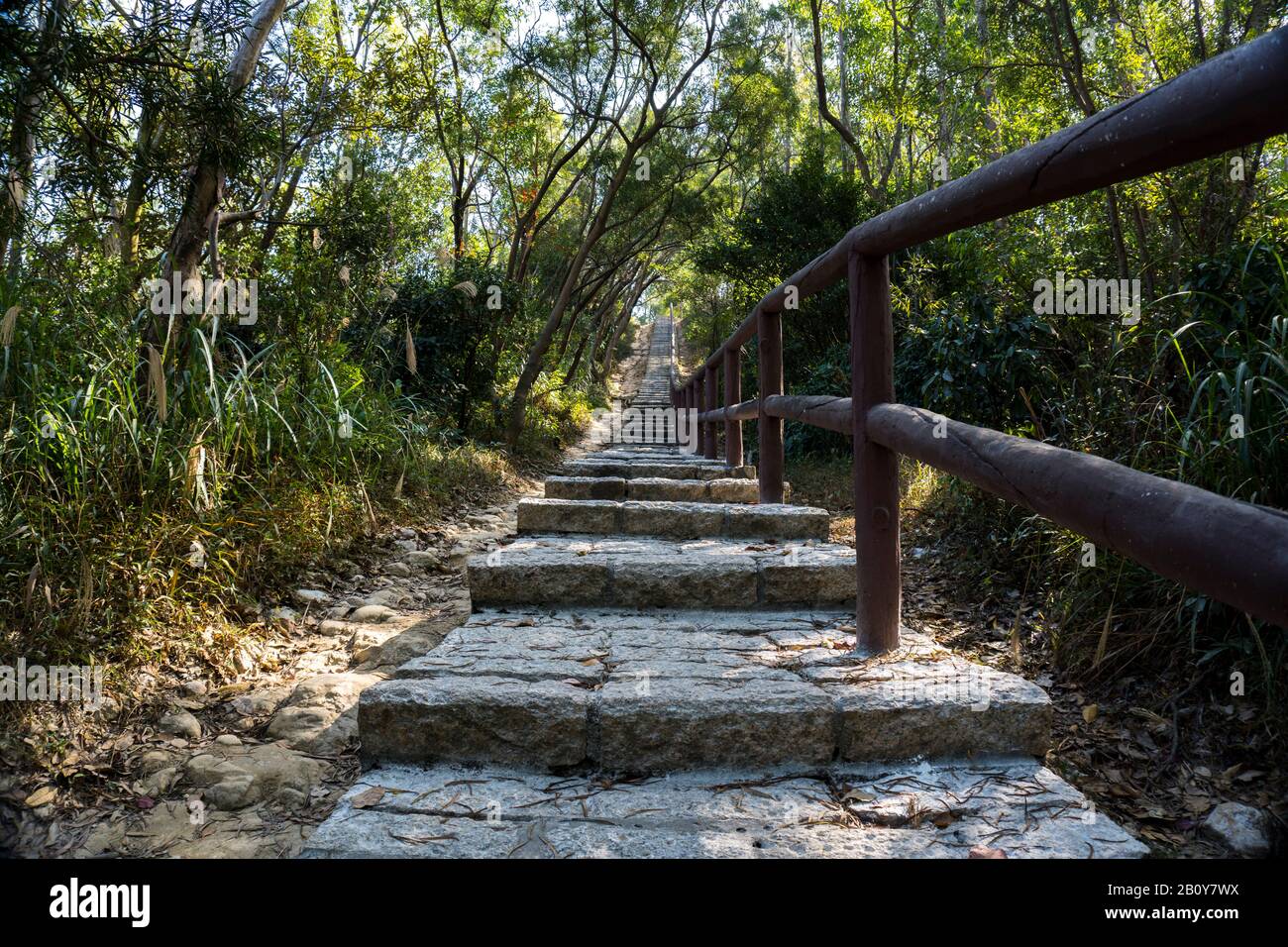 Escalier en pierre, escalier, sentier, sentier, sentier, route de campagne, allée, voie dans la forêt de Hong Kong comme arrière-plan, sentiers de la nature Tsing Yi Banque D'Images