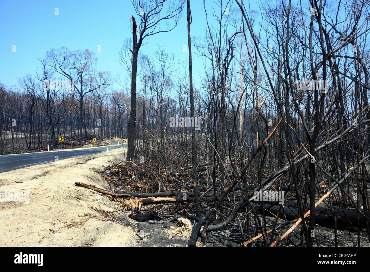 La dévastation après les incendies Banque D'Images