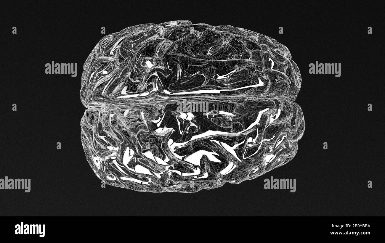 Cerveau humain, illustration Banque D'Images