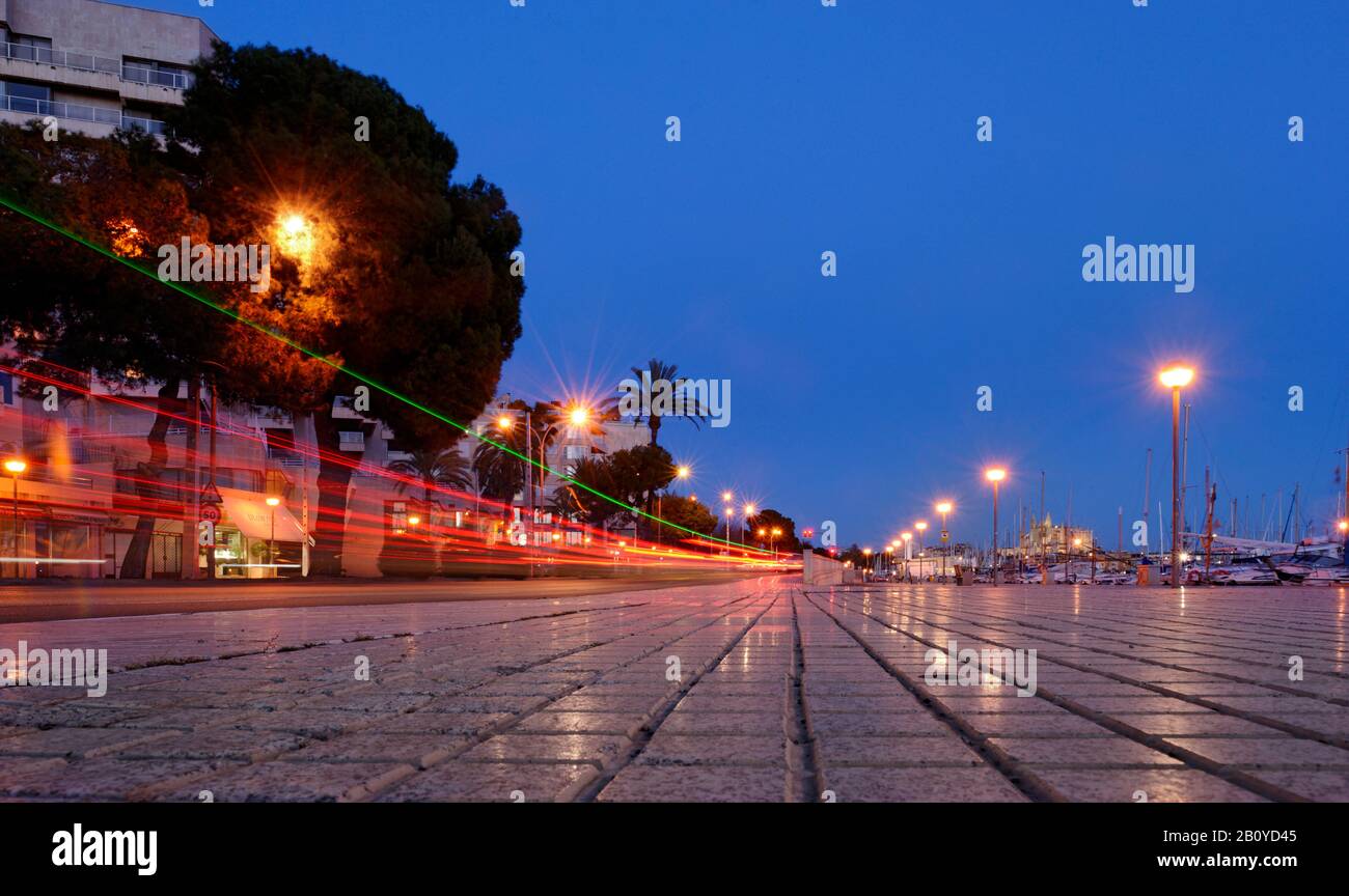 Ambiance de soirée dans le port de Palma, style de vie, Avinguda de Gabriel Roca, Palma de Majorque, Iles Baléares, Espagne, Banque D'Images