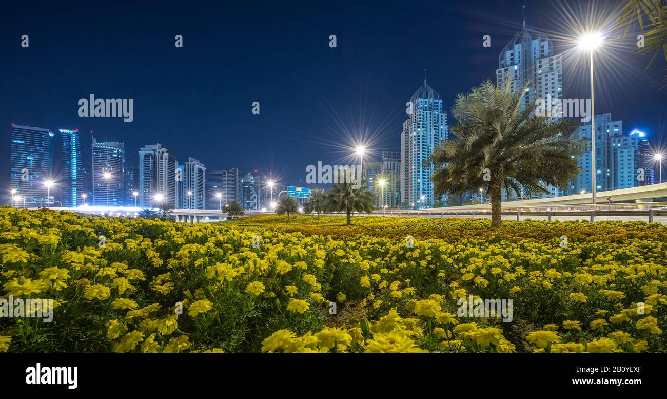 Fleurs et palmiers sur une île de trafic d'un carrefour de Sheikh Zayed Road la nuit, Marina, New Dubai, eau, Banque D'Images